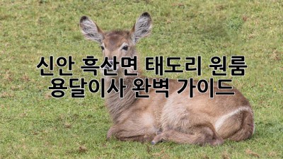 신안 흑산면 태도리 원룸? 용달이사 완벽 가이드!