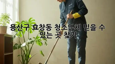 용산구 효창동 청소업체, 믿을 수 있는 곳 찾기