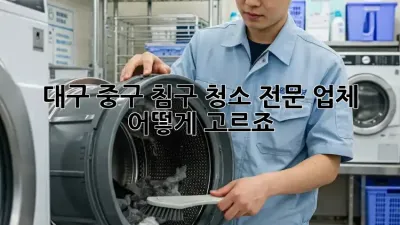 대구 중구 침구 청소 전문 업체, 어떻게 고르죠?